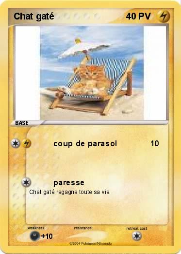 Pokemon Chat gaté