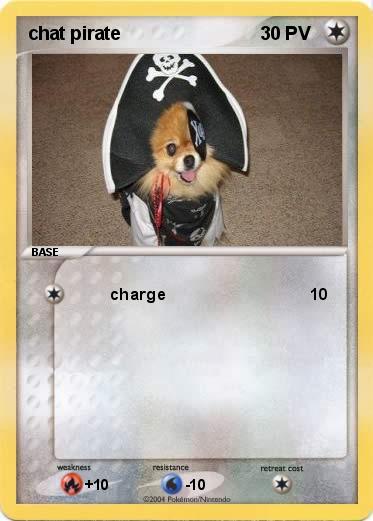 Pokemon chat pirate