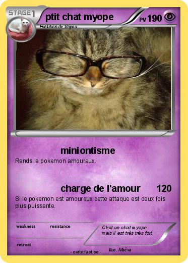 Pokemon ptit chat myope