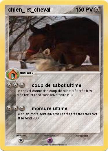 Pokemon chien_ et_cheval