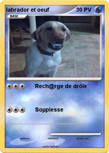 Pokemon labrador et oeuf