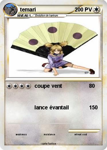 Pokemon temari