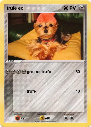 Pokemon trufe ex