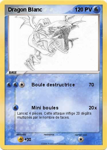 Pokemon Dragon Blanc 