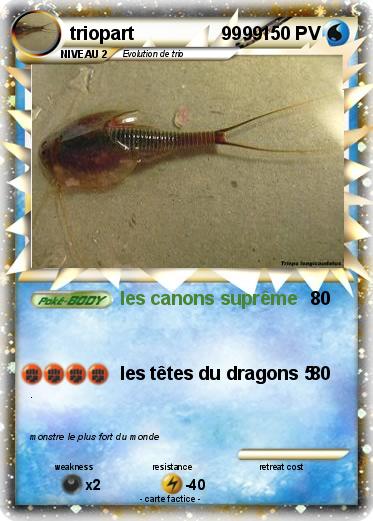 Pokemon triopart                 9999