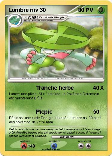Pokemon Lombre niv 30