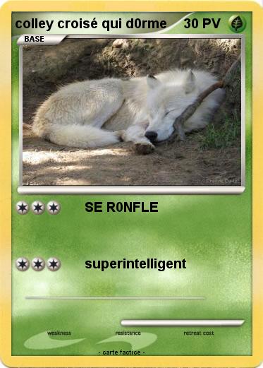 Pokemon colley croisé qui d0rme