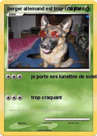 Pokemon berger allemand est trop craquant