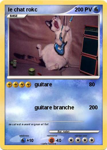 Pokemon le chat rokc
