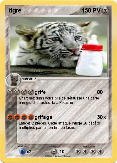 Pokemon tigre