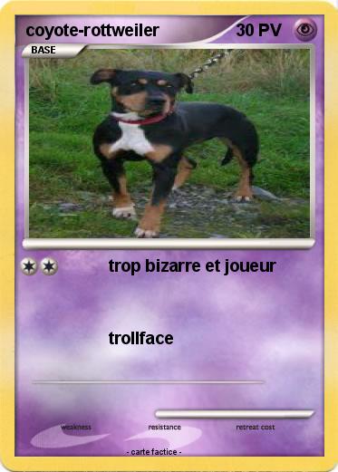 Pokemon coyote-rottweiler