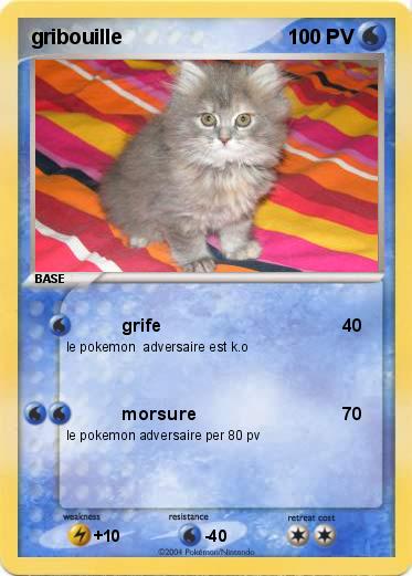 Pokemon gribouille
