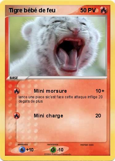 Pokemon Tigre bébé de feu