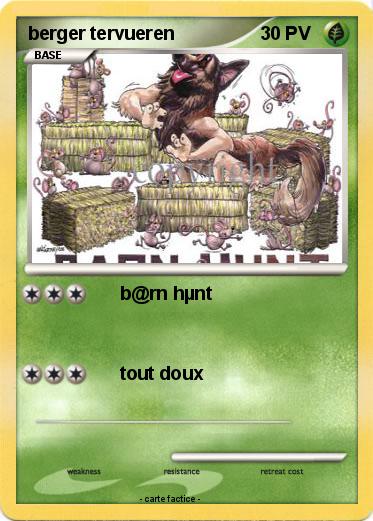 Pokemon berger tervueren