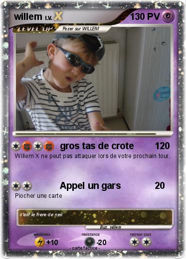 Pokemon willem