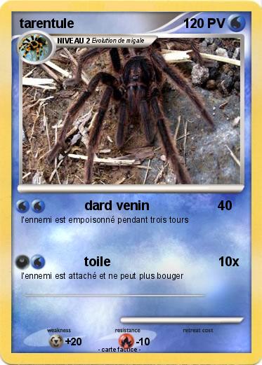 Pokemon tarentule