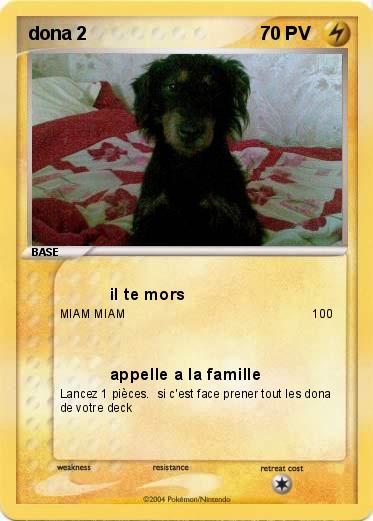Pokemon dona 2