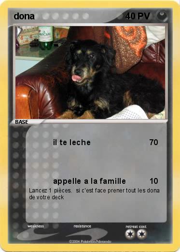 Pokemon dona