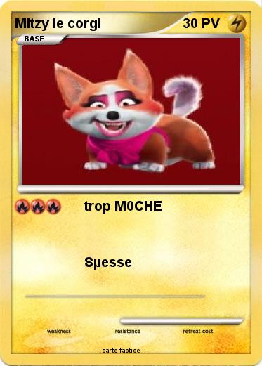 Pokemon Mitzy le corgi
