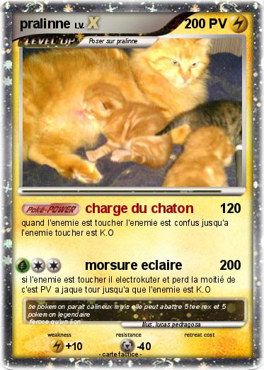 Pokemon pralinne