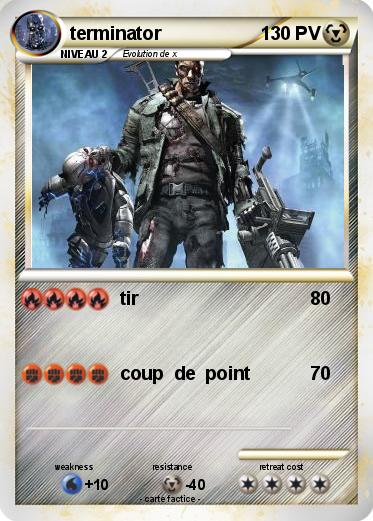 Pokemon terminator