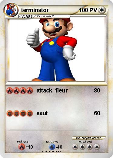 Pokemon terminator