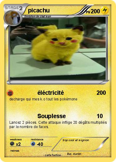 Pokemon picachu