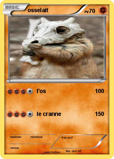Pokemon osselait