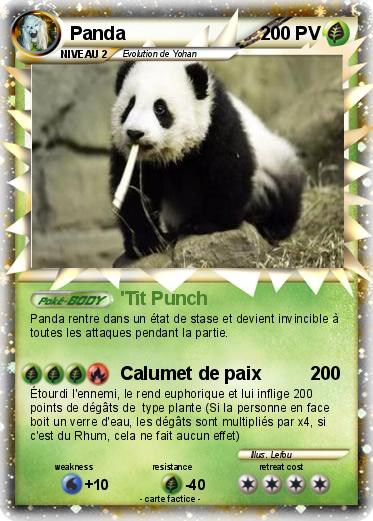 Pokemon Panda