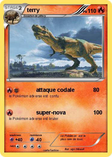 Pokemon terry