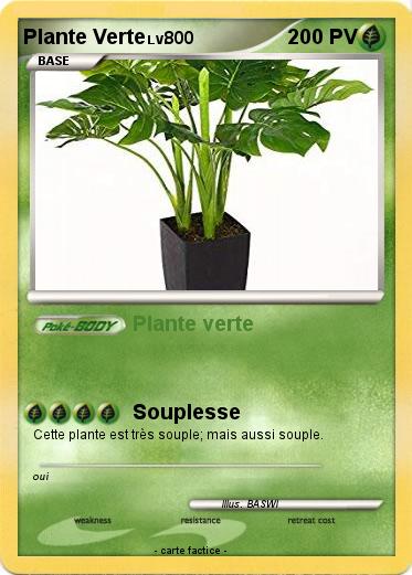 Pokemon Plante Verte