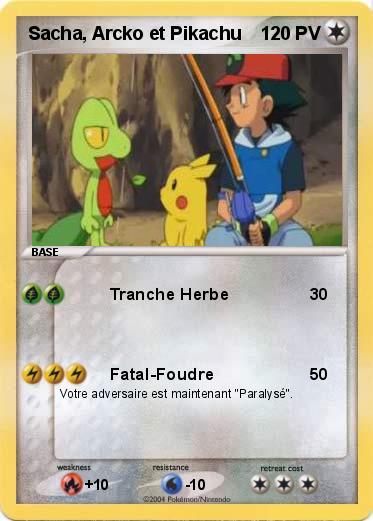 Pokemon Sacha, Arcko et Pikachu                                