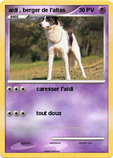 Pokemon aïdi , berger de l'altas