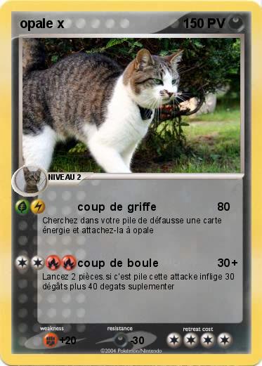 Pokemon opale x