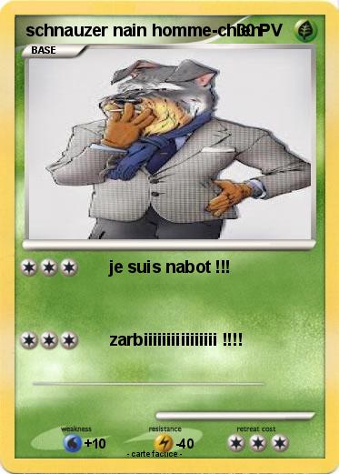 Pokemon schnauzer nain homme-chien