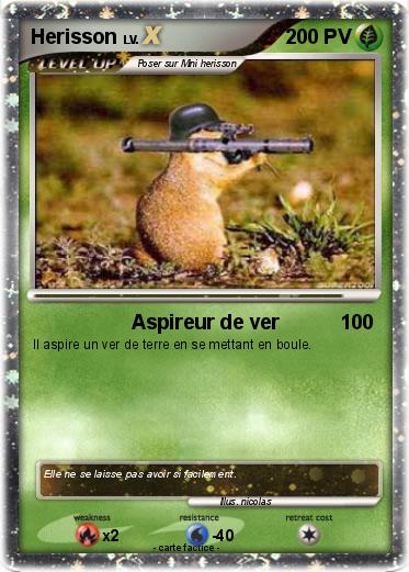 Pokemon Herisson