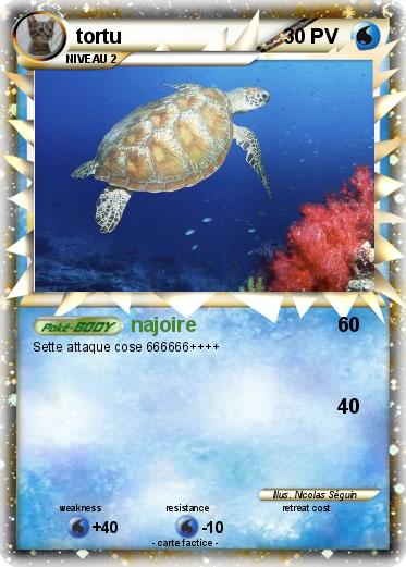 Pokemon tortu