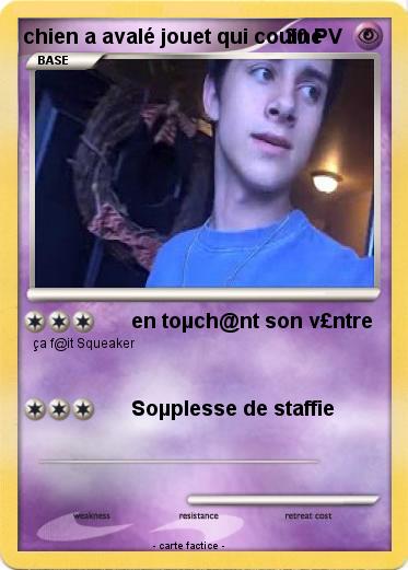 Pokemon chien a avalé jouet qui couine