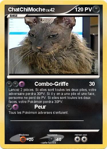 Pokemon ChatChiMoche