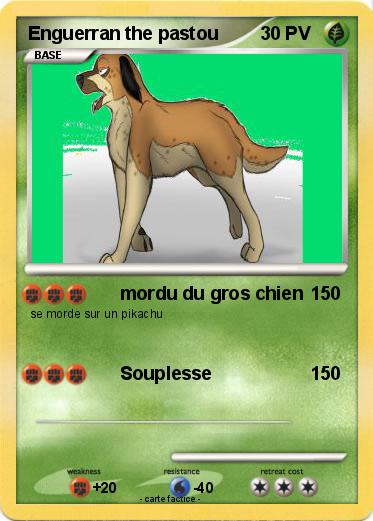 Pokemon Enguerran the pastou