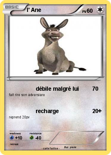 Pokemon l' Ane