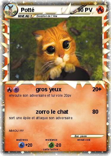 Pokemon Potté
