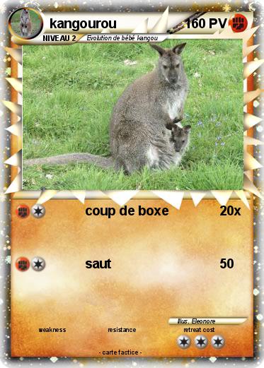 Pokemon kangourou