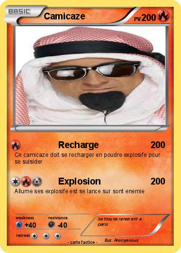 Pokemon Camicaze