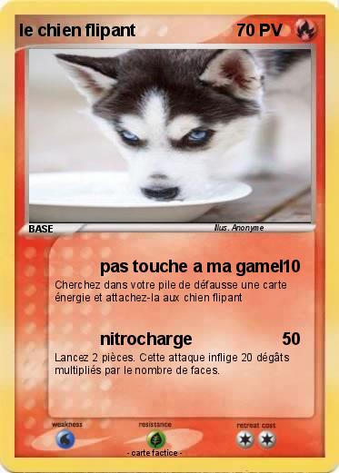 Pokemon le chien flipant
