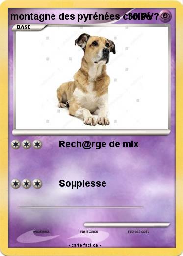 Pokemon montagne des pyrénées croisé ?