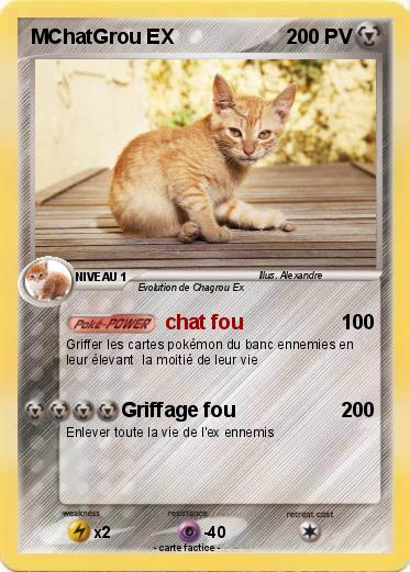 Pokemon MChatGrou EX