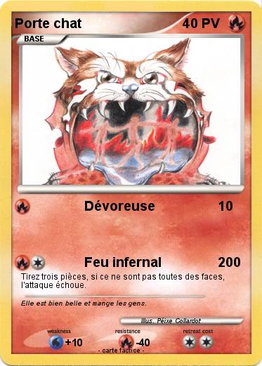 Pokemon Porte chat
