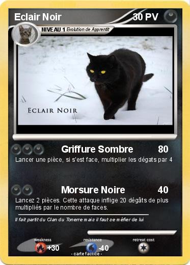 Pokemon Eclair Noir