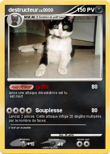 Pokemon destructeur